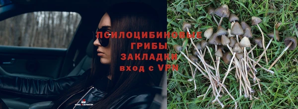 стаф Верхний Тагил