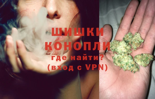 стаф Верхний Тагил