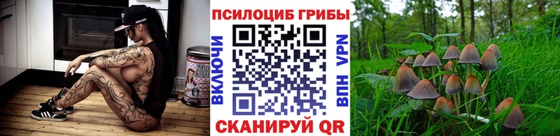 Псилоцибиновые грибы мицелий  где продают наркотики  Медногорск 